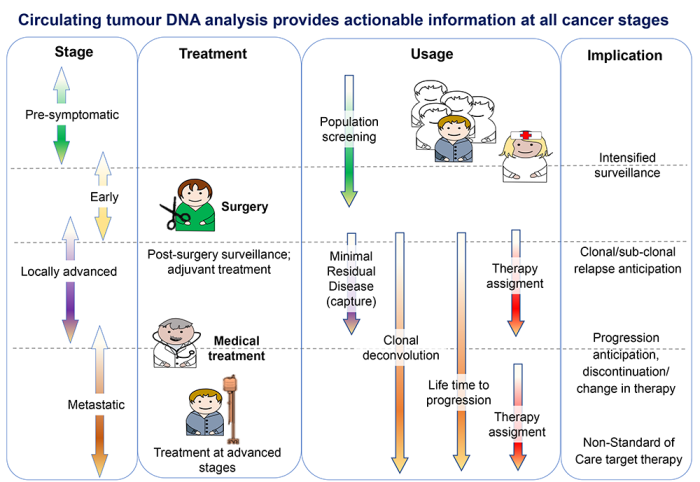 Analýza DNA cirkulujícího nádoru poskytuje užitečné informace ve všech stádiích rakoviny. Autor: Patrizio Giacomini