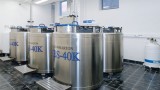 Liquid nitrogen storage vessels