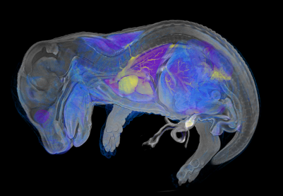 Phenotyping