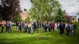 Memorial tree of V. Pačes, which was unveiled on the occasion of the 60th anniversary of IMG