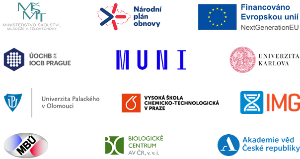 NIVB Institutes Logos