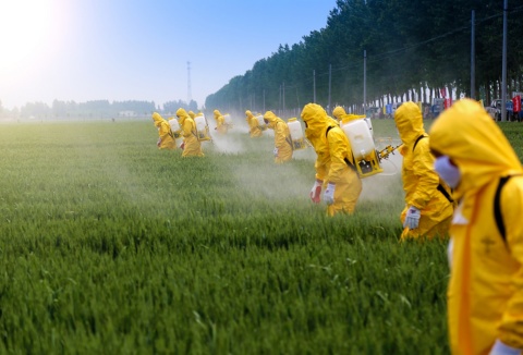 Mnohé chemické pesticidy a bojové látky nespojuje jen podobná molekulární struktura, ale kryjí se i svým historickým vývojem. Začaly se průmyslově vyrábět v druhé polovině čtyřicátých let. Účinné chemické látky, jako je nyní nechvalně známé DDT, měly zaručit vyšší zemědělské výnosy.