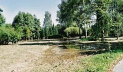 Stromovka Budějovice 2002. Záplava v srpnu 2002 v parku stromovka v Českých Budějovicích postihla travní porosty i půdní faunu. Foto J. Rusek