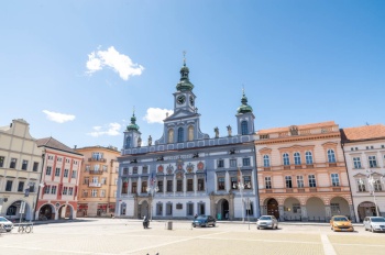 Jižní Čechy jsou rájem včel a včelařů. Základní organizace v Českých Budějovicích registruje 170 včelařů, kteří chovají přibližně 1600 včelstev. Přímo v centru krajského města se nacházejí dvě stanoviště se včelstvy – na střeše radnice a v jednom z dvorů v Panské ulici.