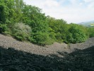 Čedičová drolina na svahu Lhoty v Českém středohoří, kde žije  hrotice obrácená (Balea perversa)  v lipovém opadu na balvanech.  Foto L. Juřičková