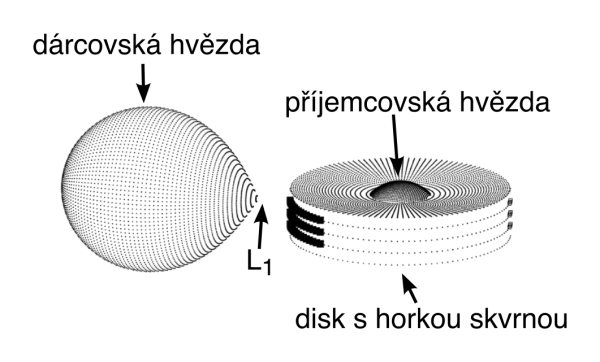 Model soustavy UU Cas, který na základě fotometrie vytvořil spoluautor G. Djurašević v předchozí studii R. E. Mennickent a kol., New insights on the massive interacting binary UU Cassiopeiae, Astronomy & Astrophysics 642, A211 (2020). V levé části obrázku je slapově deformovaná jasnější složka dvojhvězdy, v pravé části je akreční disk kolem hmotnější složky, z níž jen částečně prosvítá ve středu disku její polární oblast. Označena je také pozice libračního bodu, přes nějž přetéká hmota z dárcovské na příjemcovskou hvězdu.