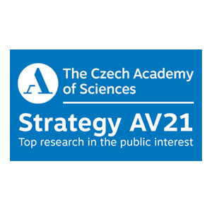 Strategy 21 AV