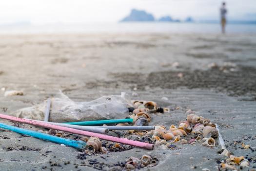 Straws as a symbol of pollution. Single-use plastic products are on their way out