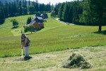 Tradiční dnes ojedinělé obhospodařování krkonošské louky. Foto V. Hadincová