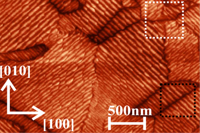 Morphotropic phase boundaries and ferroelectric domain structures