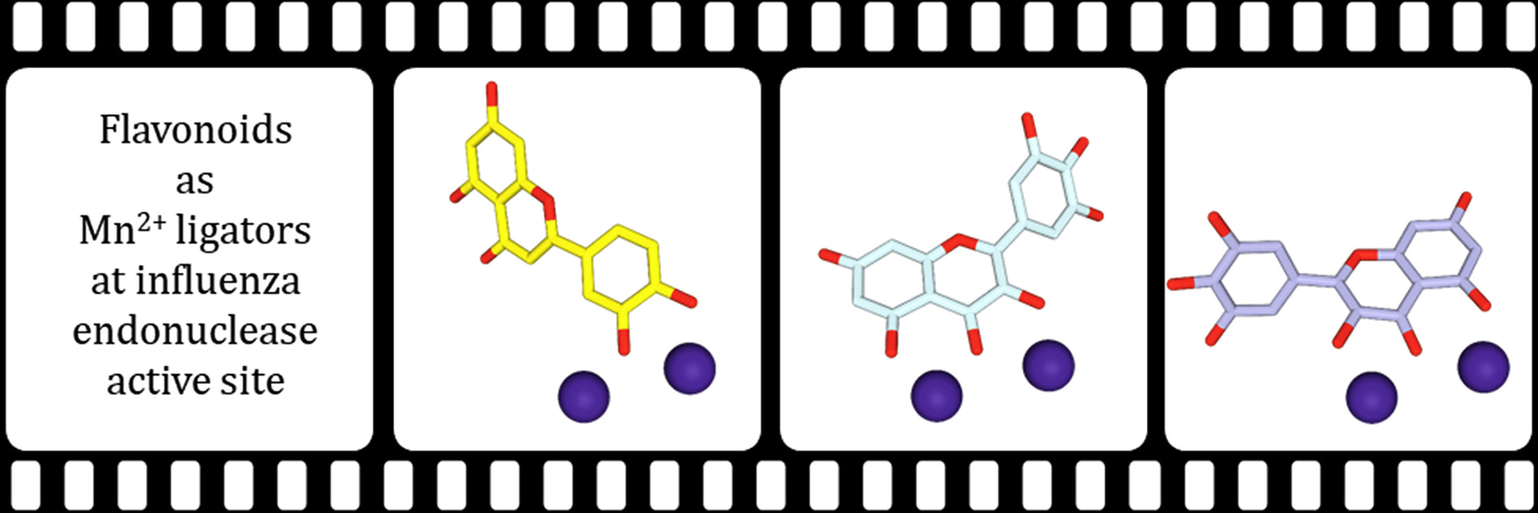 Unraveling the anti-influenza effect of flavonoids