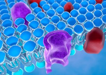 V prestižního časopise Microbiology Spectrum (IF 9,043) vyšla nová studie autorského týmu z Oddělení funkčního uspořádání biomembrán