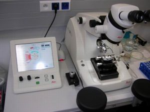 Sample Preparation for Electron Microscopy – LEICA EM UltraCut6: cutting ultrathin (cryo)sections 50 – 100 nm