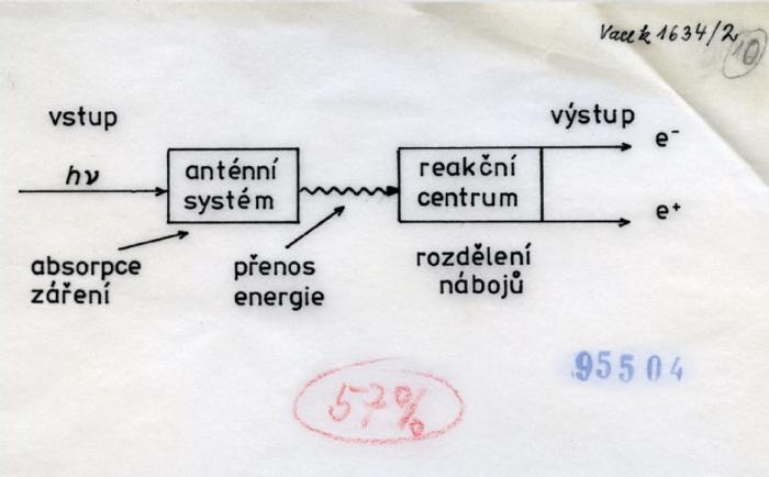 ČČF 3/2021 20