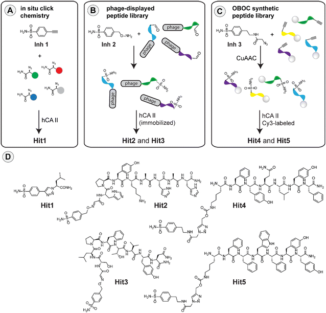 New paper in RSC Medicinal Chemistry