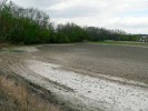 Rybník Podhradský u Hluboké nad Vltavou dlouhodobě slouží k odchovu kapřího plůdku, a proto se téměř každoročně letní. Kvůli odpadním vodám, které do něj putují z okolních domácností,  je hospodaření na něm značně problematické, a tak se dno pravidelně vápní,  v sušších letech i kypří branami a osévá obilím (jaro 2007). Přesto tento rybník hostí populaci puchýřky útlé čítající mnoho set tisíc jedinců. Foto K. Šumberová