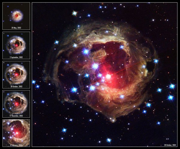 Sekvence snímků zachycující expanzi světelného echa hvězdy V838 Monocerotis, tedy odrazu výbuchu na prachových strukturách v okolí hvězdy. © HST