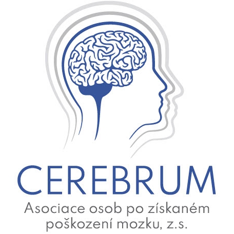 Cerebrum