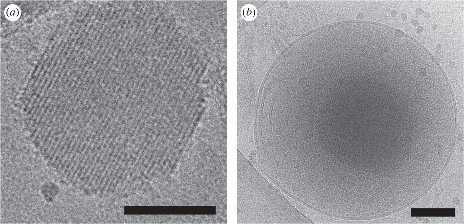 Characterization of insulin crystalline form in secretory granules