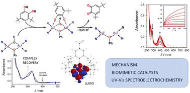 mechanism