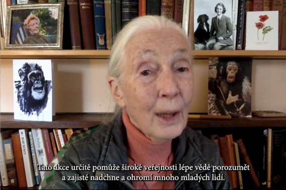 Zdravice od bioložky Jane Goodall: Obrat k vědě pomůže zmírnit škody