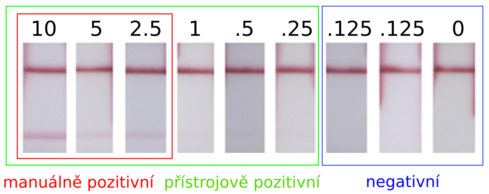 Vyvinuli jsme rychlý a snadný způsob porovnání antigenních testů na SARS-CoV-2