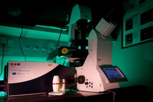 Leica TCS SP8 confocal microscope