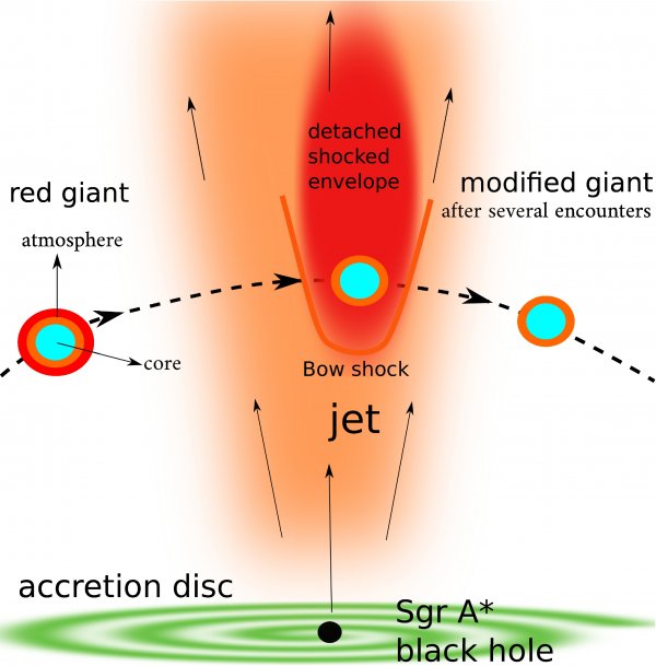 A schematic illustration showing a red giant – a very large, massive star with an extensive atmosphere - passing through a jet flowing from Sgr A* black hole. The gas creates shock waves, the star loses its atmosphere, increases its surface temperature and changes its spectral classification. As a result, the star may appear younger (figure was taken from the article by Zajaček et al. 2020).