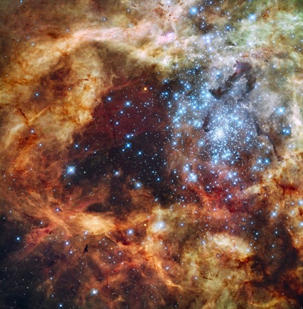 Hvězdokupa R136 uprostřed mlhoviny Tarantula v souhvězdí Mečouna na jižní obloze. Hmotné hvězdy zjevně v mlhovině vytvořily dutinu, která vznikla působením větrů a záření těchto hvězd. © NASA/ESA
