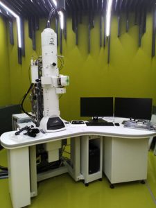 Jeol JEM-1400 FLASH transmission electron microscope operated at 120 kV equipped with FLASH 2kx2k CMOS camera