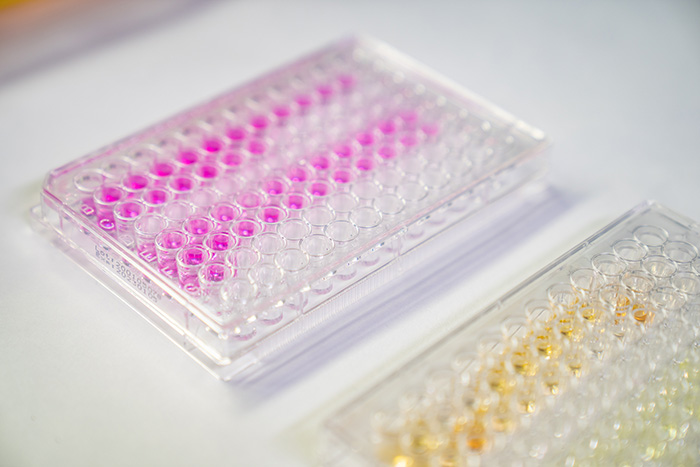 Monoclonal Antibodies and Cryobank