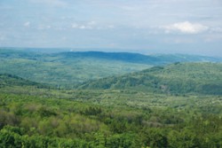 Centrální část Doupovských hor v okolí zaniklého města Doupova je využívána pro výcvik vojsk, přesto je i zde plocha křovin obrovská. Foto J. Vojta / © Photo J. Vojta