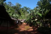 Kemp La Belgique, který se nachází v pralese na periferii rezervace Dja (Kamerun), je pár desítek kilometrů od nejbližší vesnice. Tento kemp sloužil jako styčný bod pro stopování lidoopů a útočiště vědců.