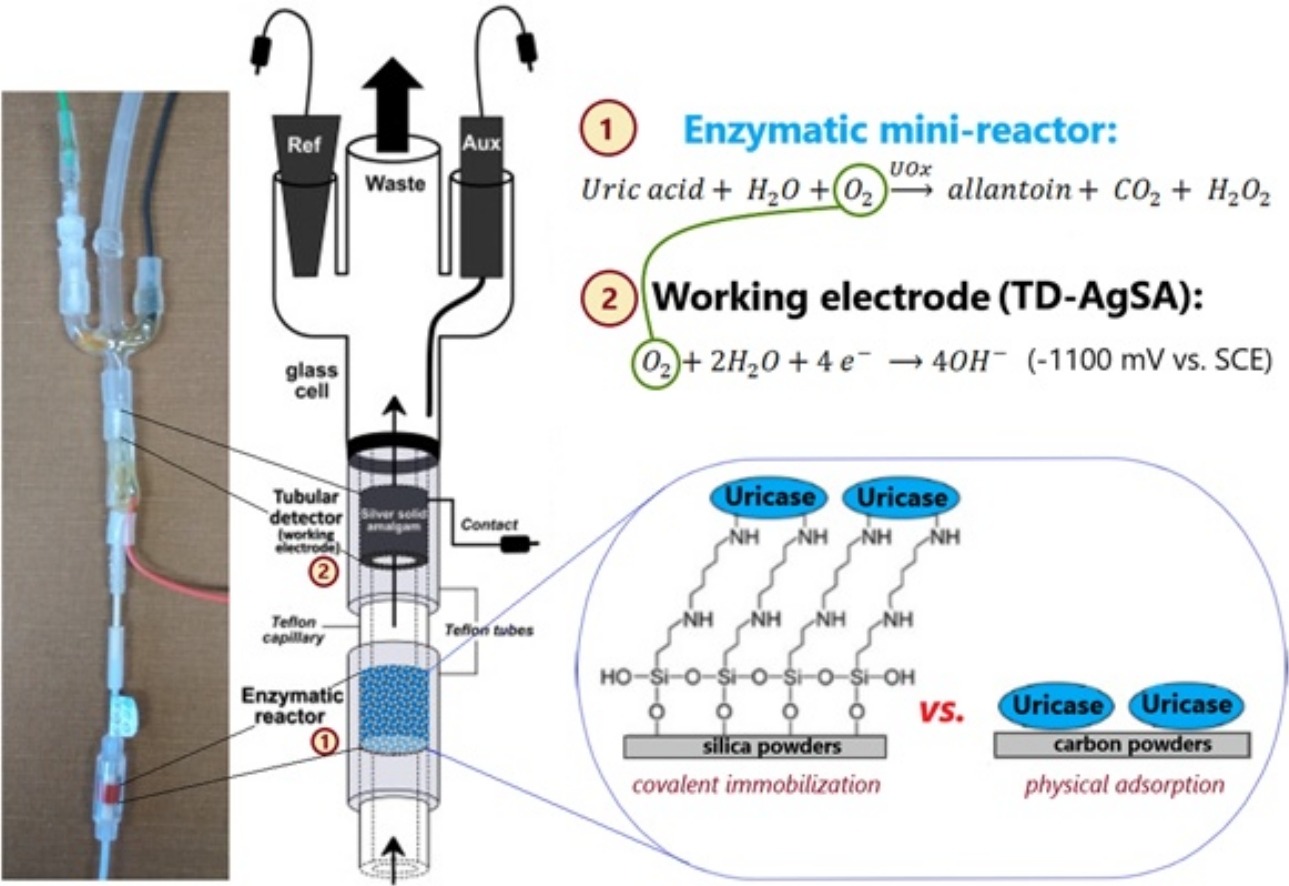 Sensors and Actuators B: Chemical, DOI: https://doi.org/10.1016/j.snb.2021.130252 Sofiia Tvorynska, Jiří Barek, Bohdan Josypčuk Flow amperometric uric acid biosensors based on different enzymatic mini-reactors: A comparative study of uricase immobilization 