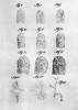 Ilustrace k výzkumu typů kreseb kožních lišt, pozorování kožních kapilár z vratislavské habilitační dizertace Rozprava o fyziologickém výzkumu smyslu zrakového a soustavy kožní (1823)
