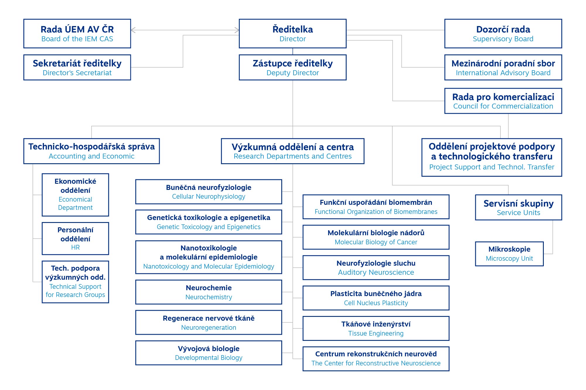 Organizational scheme of the Institute of Experimental Medicine, describing the management, research and technical departments and their relationships. Detailed description is in the picture description.