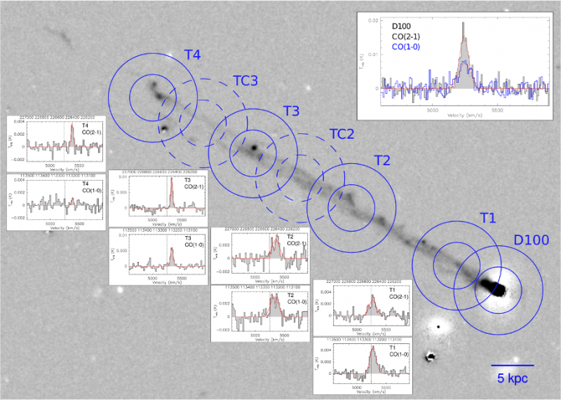 Na pozaďovém snímku ohonu D100 z dalekohledu Subaru jsou vyznačeny kružnicemi pozorovací body, v nichž byly vyhodnocovány slupcové hustoty oxidu uhelnatého. V jednotlivých panelech jsou pak zobrazena spektra dvou pásů CO pro čtyři hlavní pozorovací body, zcela nahoře pak totéž pro těleso galaxie. 