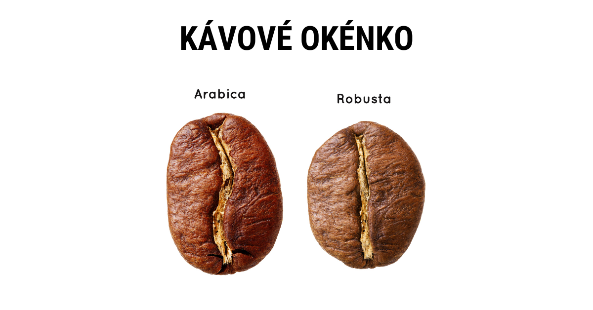 Robusta