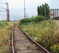 Příklad nepravidelně intenzivně narušovaného stanoviště. Okrajová část nádraží v Dyníně v jižních Čechách. Převládajícími druhy jsou např. pupalka dvouletá (Oenothera biennis), třtina křovištní (Calamagrostis epigeios), silenka nadmutá (Silene vulgaris), mák pochybný (Papaver dubium), lipnice smáčknutá (Poa compressa). Foto J. Martínková / © J. Martínková