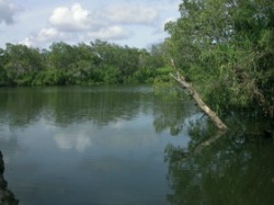 Jeden z rozsáhlých močálů (billabongů) v NP Kakadu – Jim Jim Billabong Foto S. Bílý / © Phtot S. Bílý