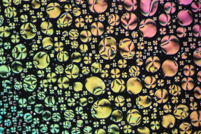 Zárodky nematické kapalně krystalické fáze v polarizačním mikroskopu