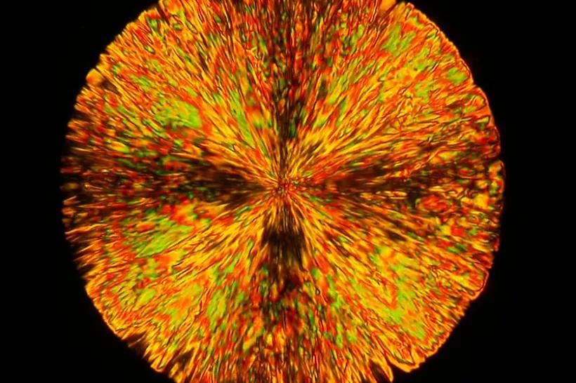 10-11th places Alexej Bubnov: Observing liquid crystal textures using polarised light microscope