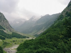 Jedno z údolí v Přímořských Alpách (Itálie). Stráně jsou pokryty převážně bukovým lesem s bohatou květenou.  Celá tato oblast je považována za možné glaciální refugium temperátních lesů, některé druhy odtud kolonizovaly  část střední Evropy. Foto T. Fér