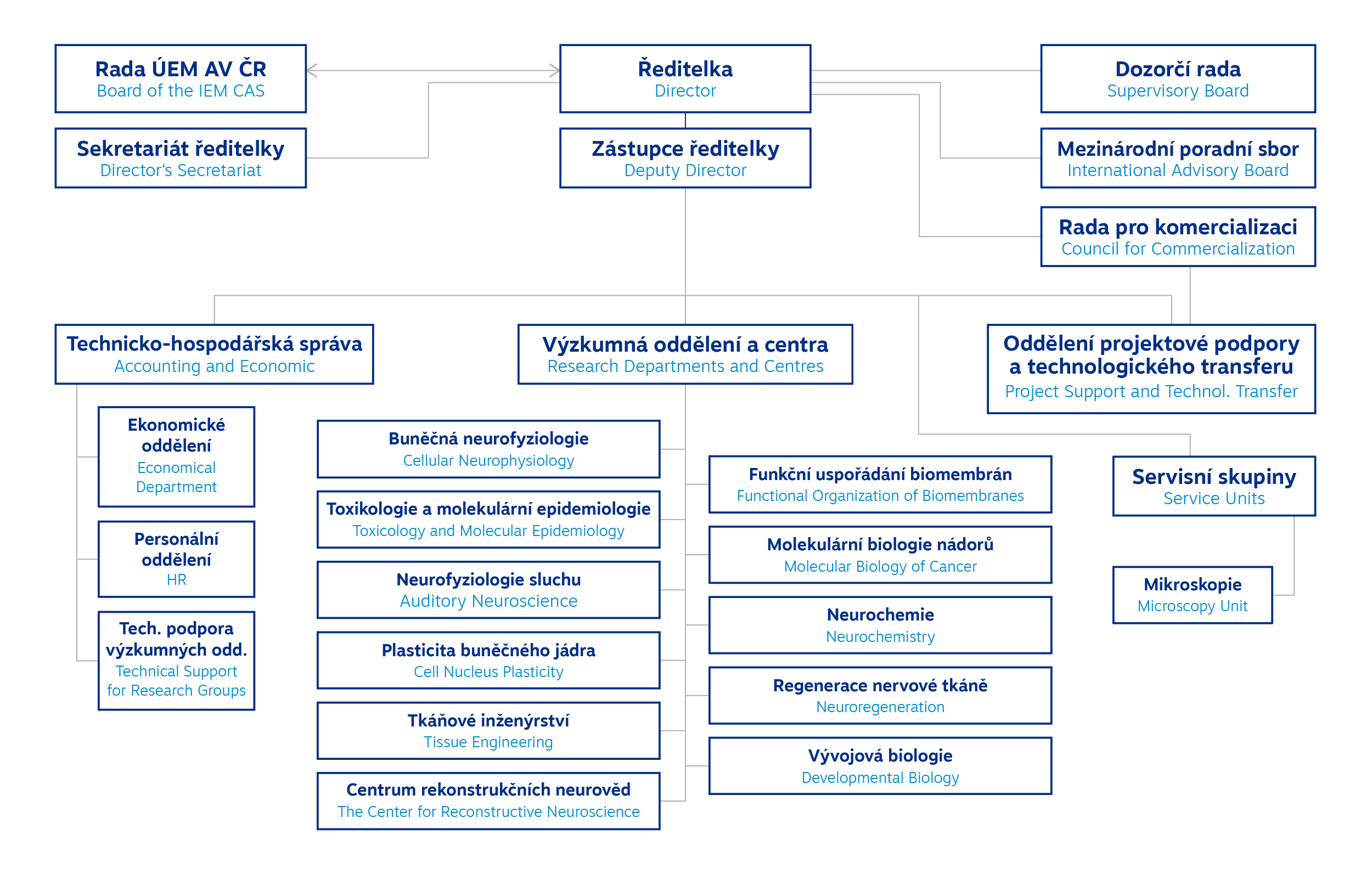 Organizational scheme of the Institute of Experimental Medicine, describing the management, research and technical departments and their relationships. Detailed description is in the picture description.