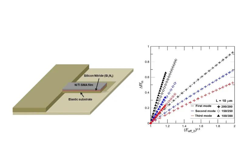 Mikromechanické resonátory s účelově měnitelnými fyzikálními a mechanickými vlastnostmi použitelné pro různé biomateriálni a fyzikální snímače