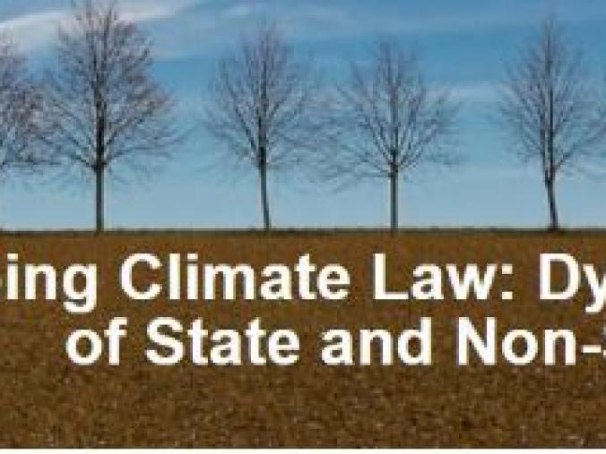 Shaping Climate Law: Dynamic Roles of State and Non-State Actors