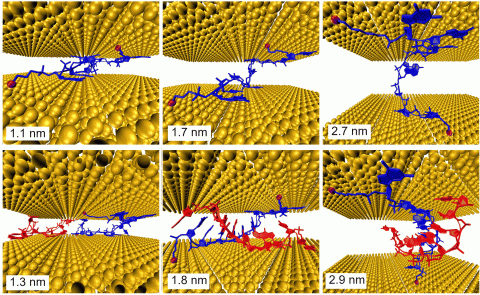 Additive transport in DNA molecular circuits