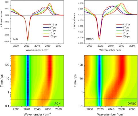 Difference TRIR spectra of Rebpy in ACN and DMSO