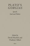 plato-s-gorgias-speech-soul-and-politics