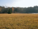Pohled na přírodní památku Ratajské rybníky u Hlinska, místo současného výskytu (nalezen v r. 2011) vrkoče  Geyerova (Vertigo geyeri) ve Žďárských vrších. Foto J. Myšák